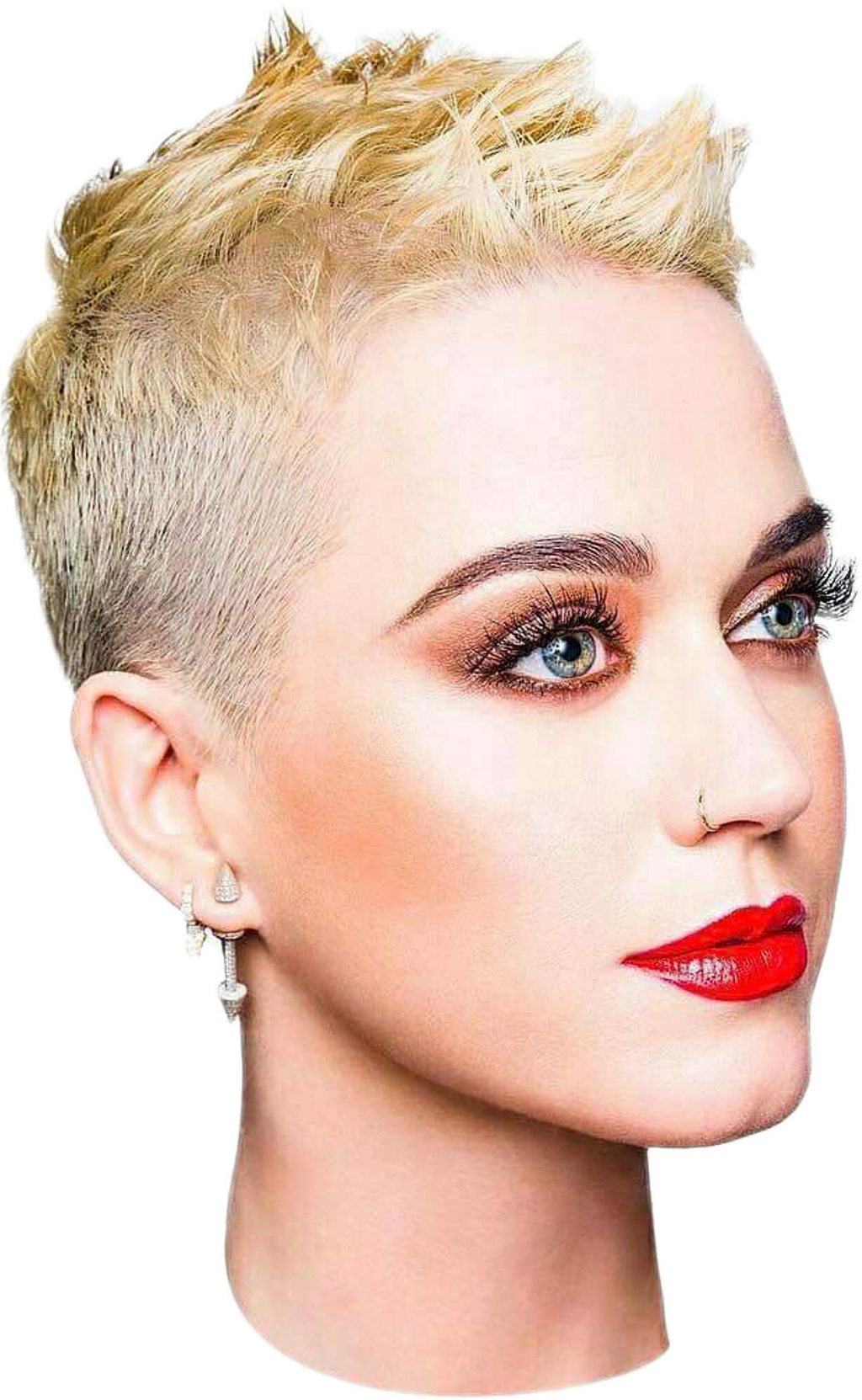 Report Abuse - Katy Perry Witness Png Clipart (1024x1663), Png Download