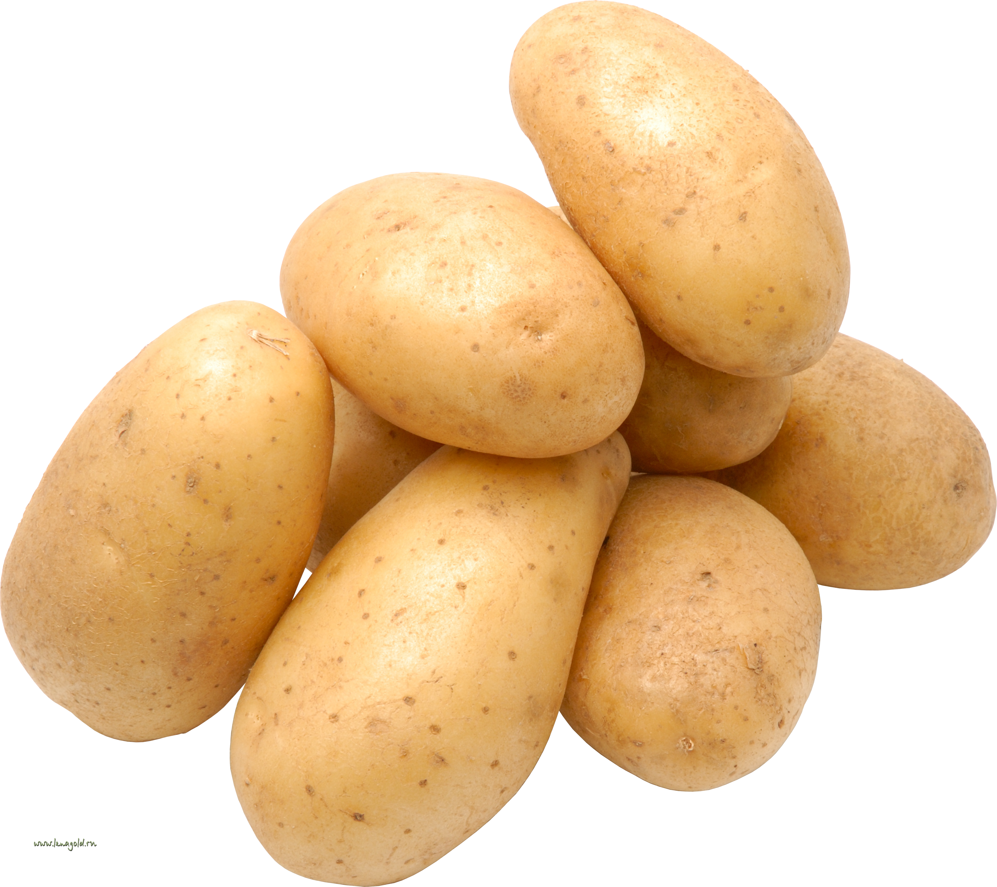 Potato Png Images - Ap Calc Potato Meme Clipart (3352x2981), Png Download