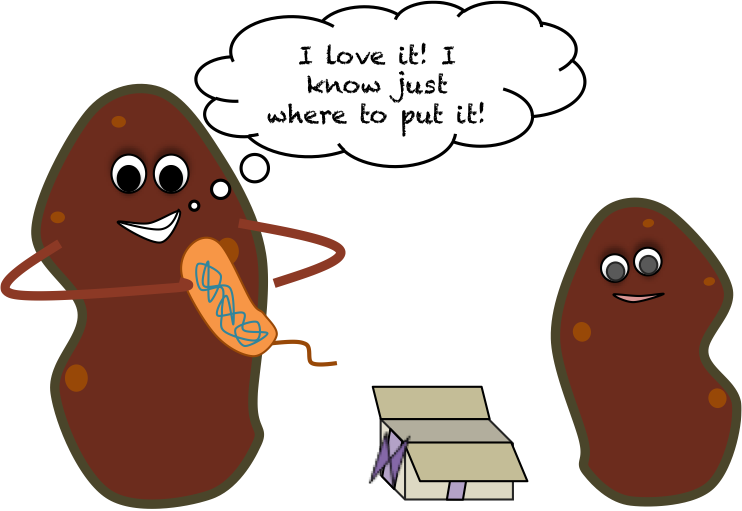 Sweetpotatocartoon - Gmo Potatoes Clipart (742x511), Png Download