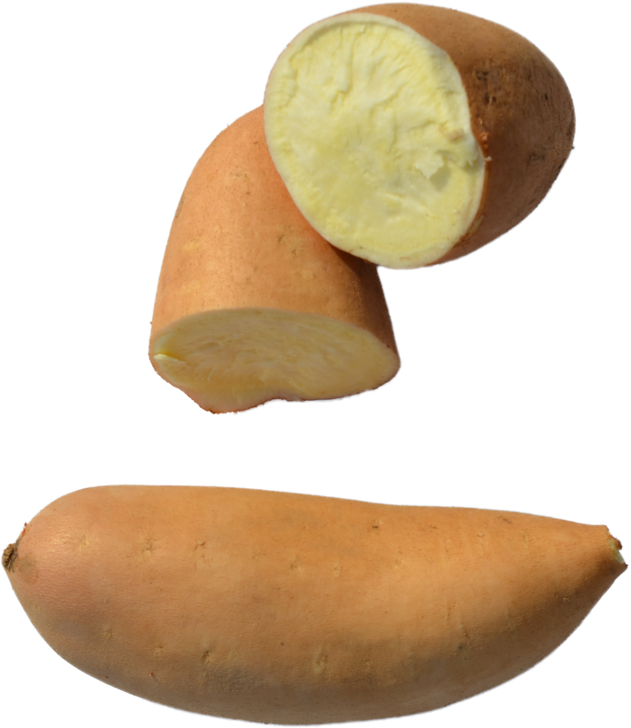 Sweet - Russet Burbank Potato Clipart (2629x3021), Png Download
