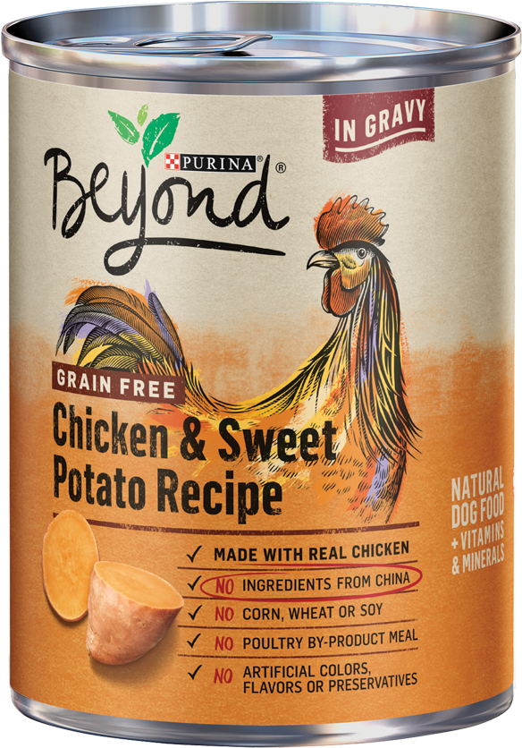 Beyond Wet Dog Food Clipart (800x1000), Png Download