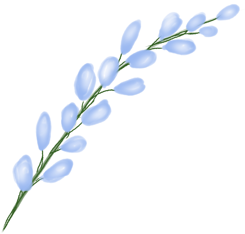 Flower Sticker - Lobelia Clipart (1024x1024), Png Download