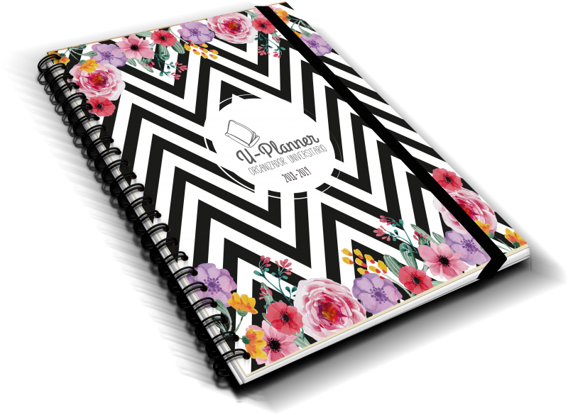 Floral Zigzag Png - Graphic Design Clipart (1024x733), Png Download