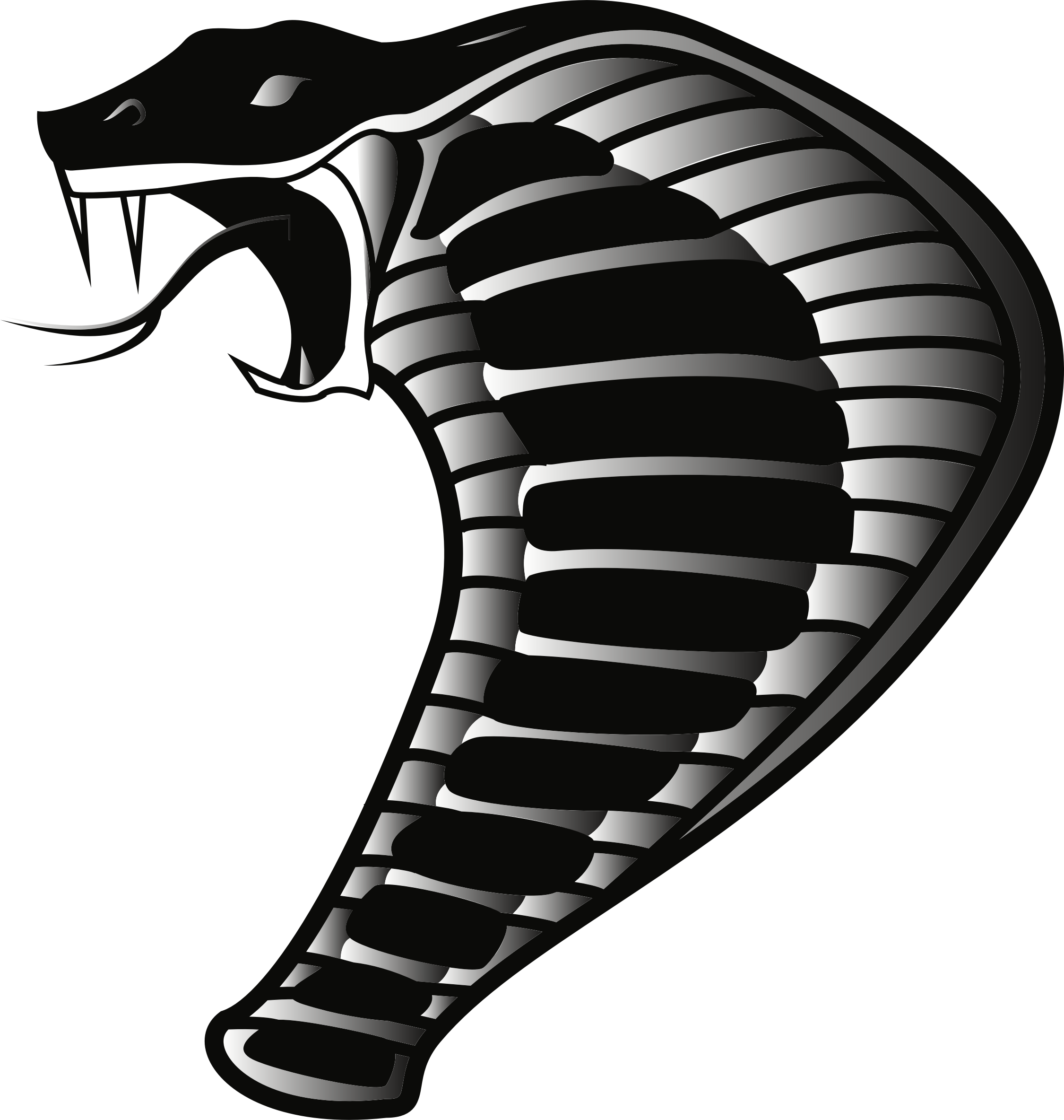 Cobra Png - Cobra Clipart Transparent Png (2251x2368), Png Download