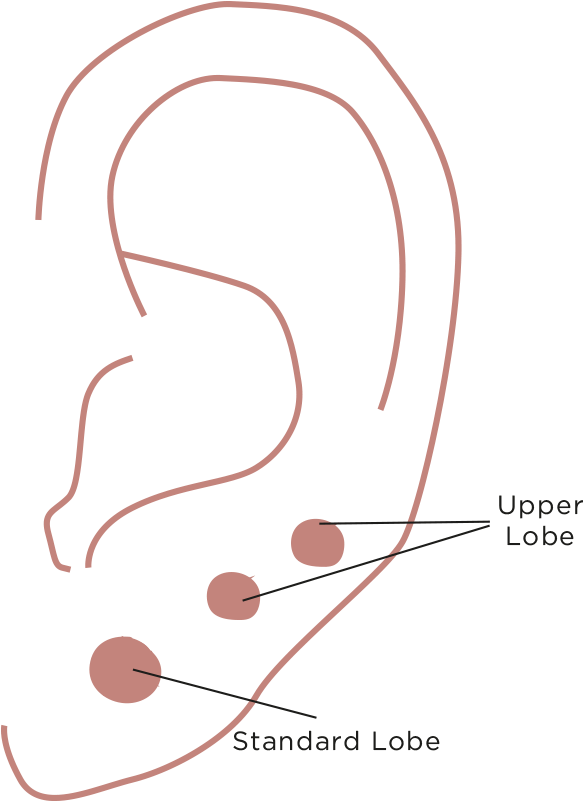 Piercing Prices Clipart (800x800), Png Download