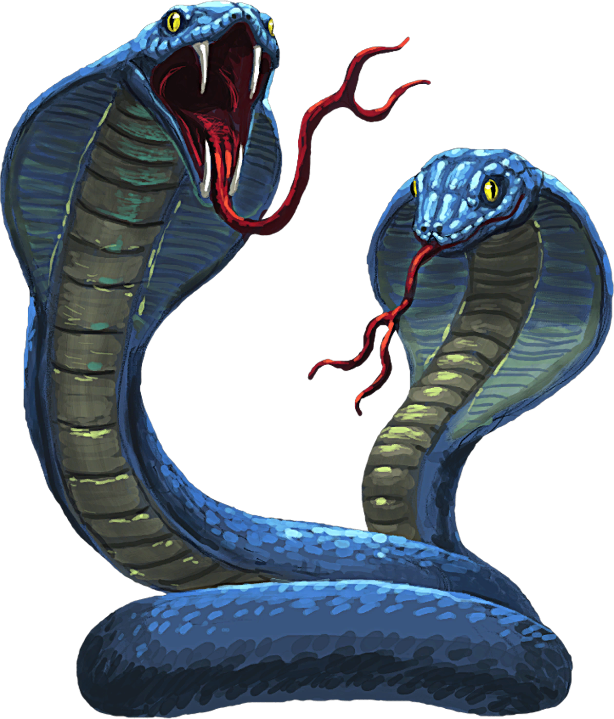 Cobra Png - Cobras Png Clipart (1196x1400), Png Download
