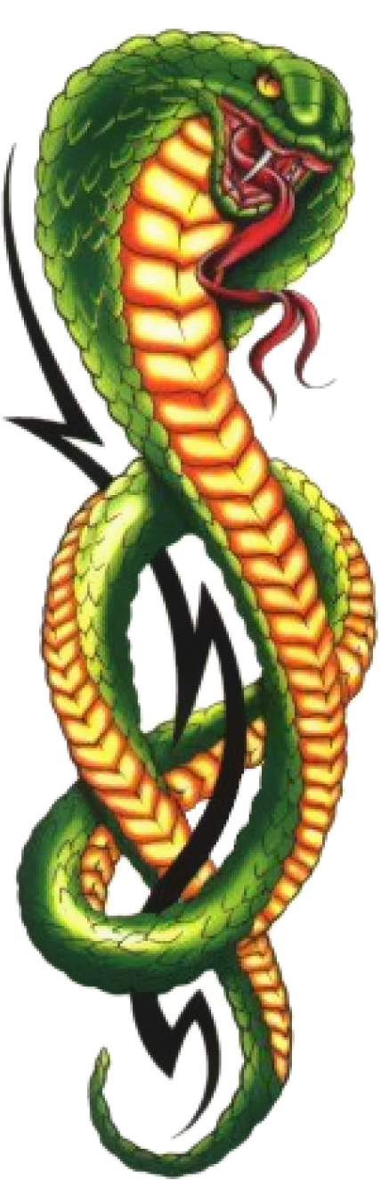 Download Cobra Clipart Png Photo - King Cobra Tattoo Transparent Png (480x1358), Png Download