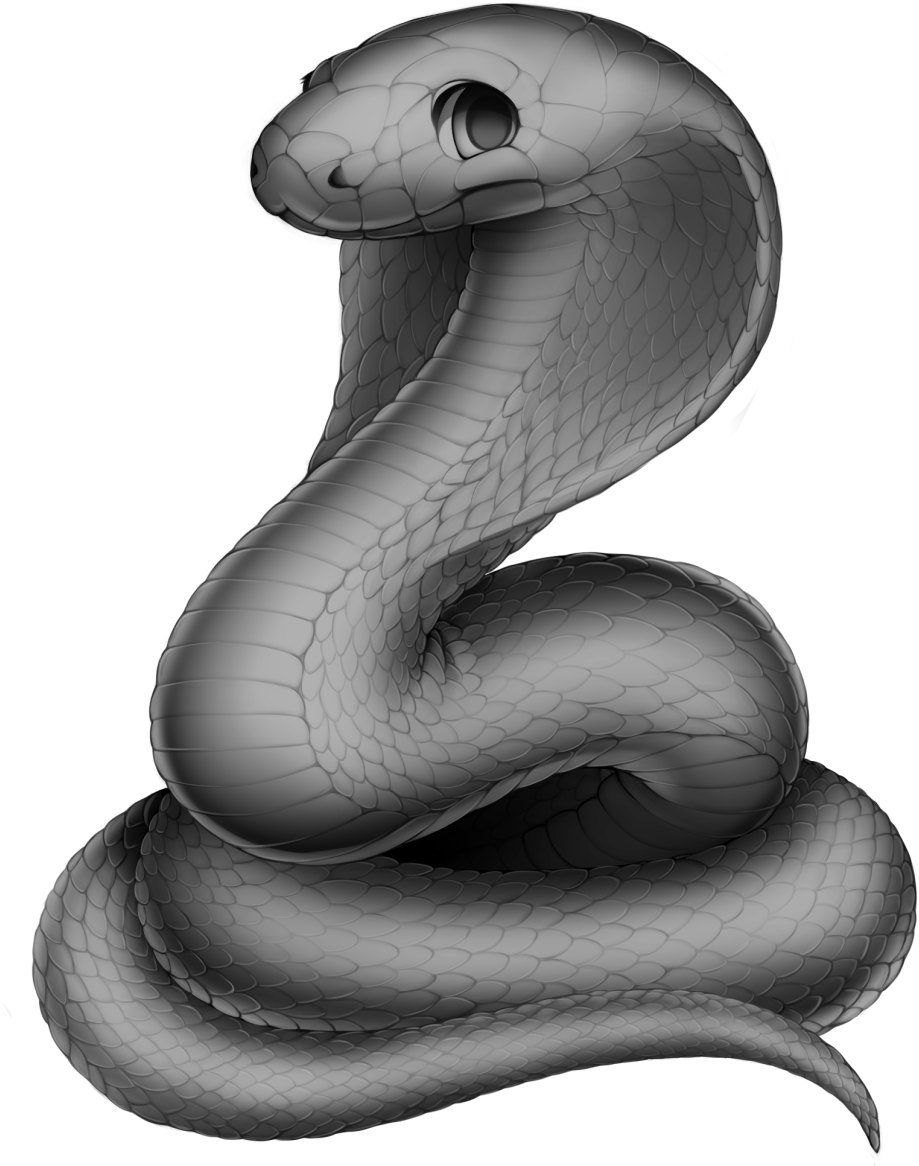Snake Cobra Base , Png Download Clipart (919x1166), Png Download