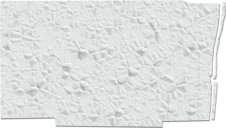 Broward "fun" Style - Stitch Clipart (768x437), Png Download