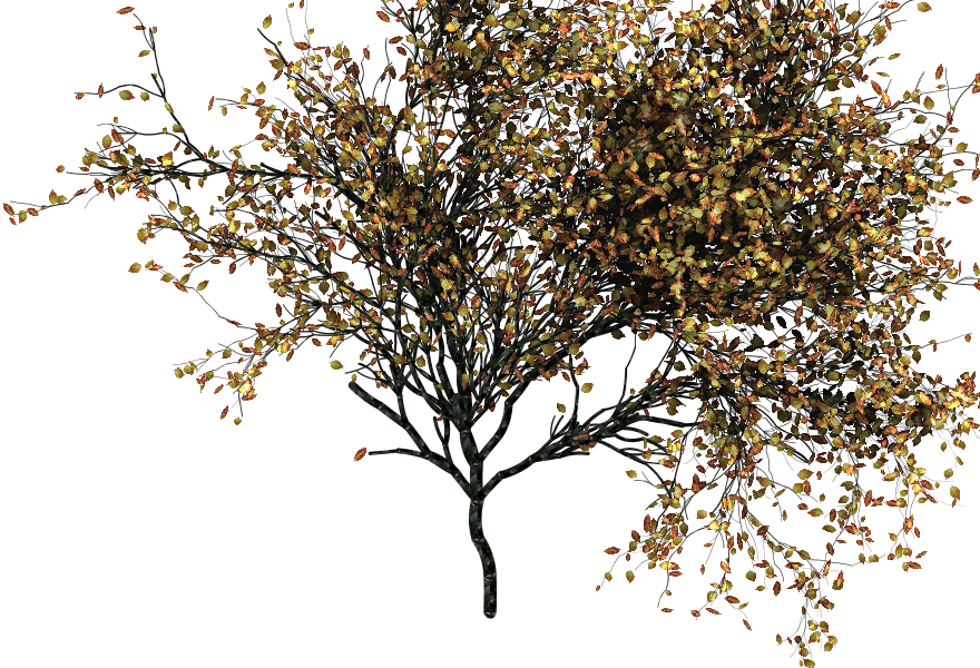 This Is Not Going To Be Useful For The Tree Modeling - Photoshop Autumn Tree Png Clipart (880x600), Png Download