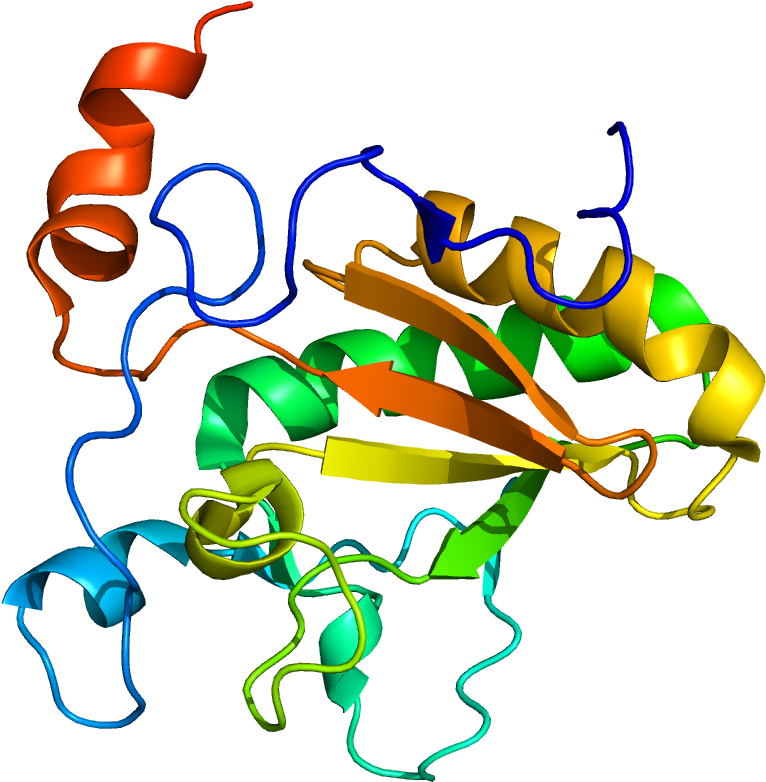 Desert Hedgehog - Sonic Hedgehog Protein Clipart (1200x1000), Png Download