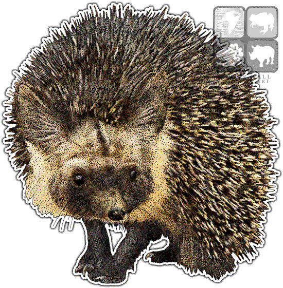 Punxsutawney Phil Clipart (550x561), Png Download