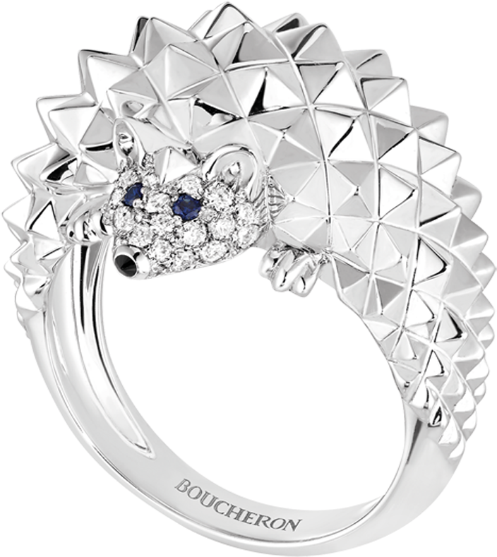 Hedgehog Engagement Ring Clipart (960x960), Png Download