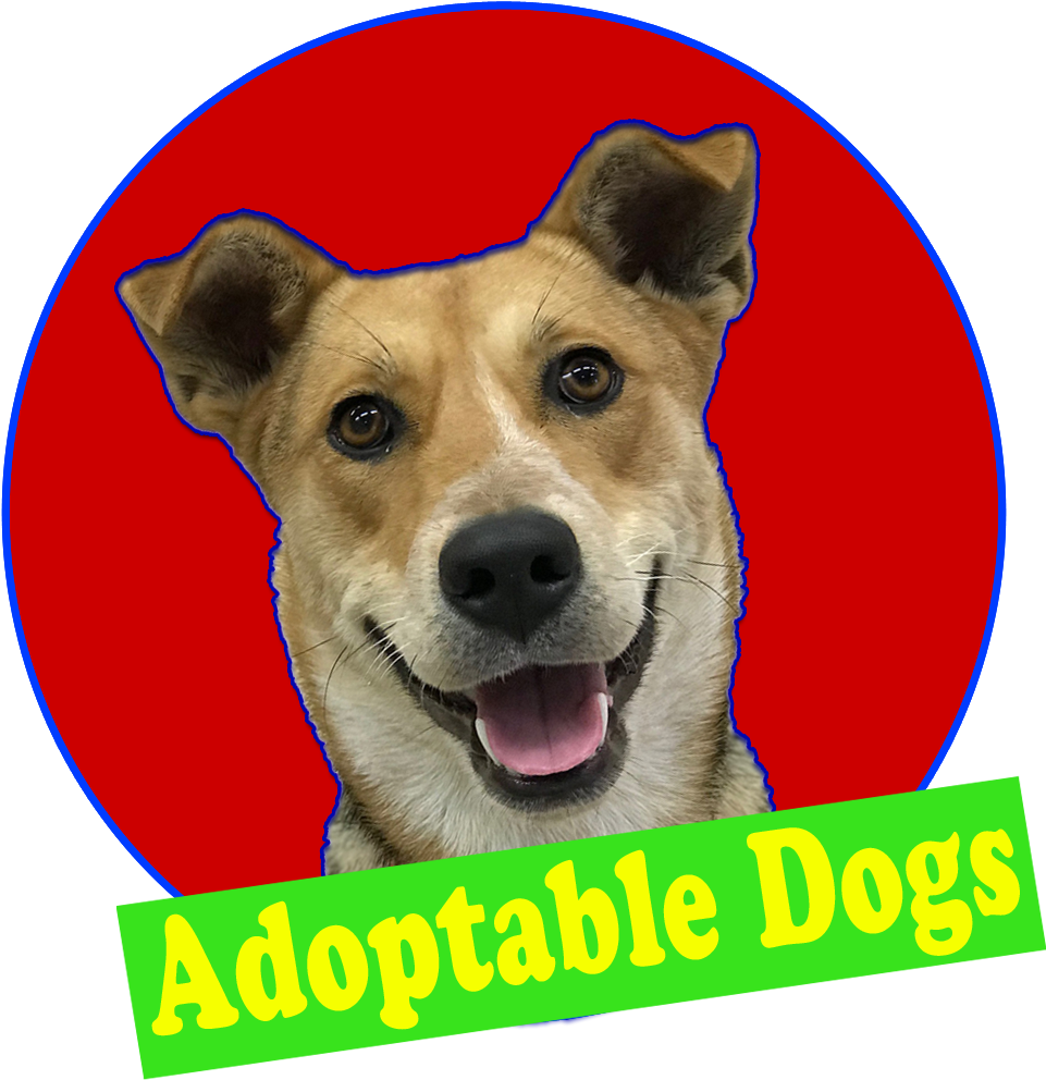 Dog Yawns Clipart (1000x1000), Png Download