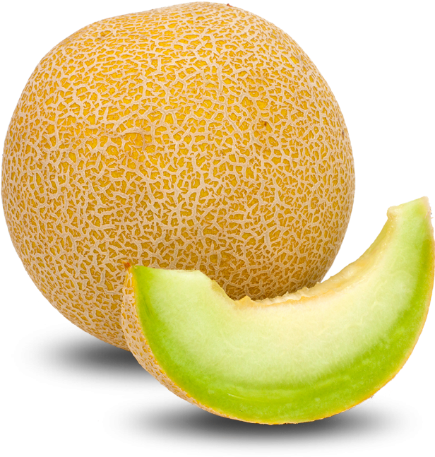Melon - Melon Png Clipart (744x744), Png Download