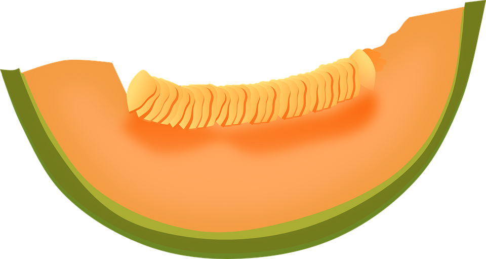Cantaloupe, Melon, Fruit, Food, Fresh, Healthy, Sweet - Cantaloupe Clipart - Png Download (960x511), Png Download