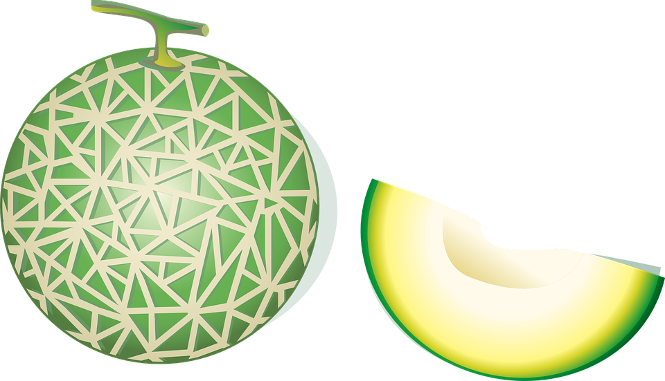 Melon Vector Png - Melon Clipart (960x551), Png Download