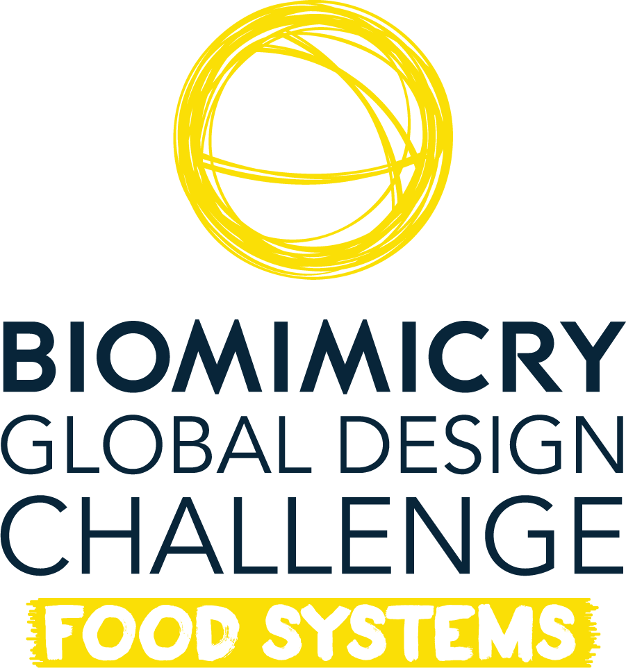 Biomimicry Global Design Challenge Opens Today - Biomimicry Global Design Challenge Png Clipart (901x962), Png Download