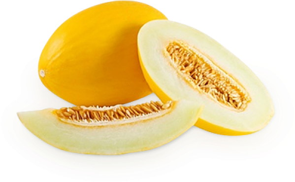 Melon Png Free Download - Melon Yellow Clipart (600x600), Png Download