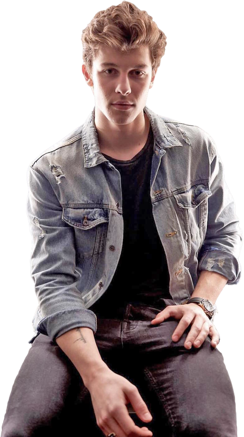 Shawn Mendes Png , Png Download Clipart (785x1404), Png Download