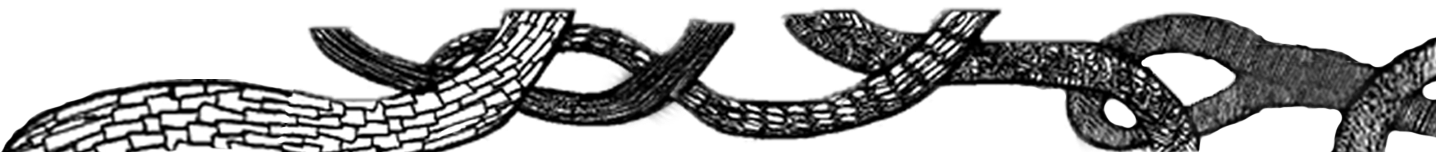 P7 Button Type 25 Apr 2014 - Illustration Clipart (1435x710), Png Download