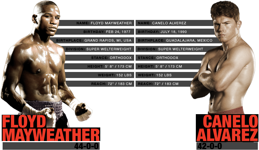Named Whilst The One Battle, The Floyd Mayweather Versus - Floyd Mayweather Vs Canelo Alvarez Stats Clipart (894x519), Png Download