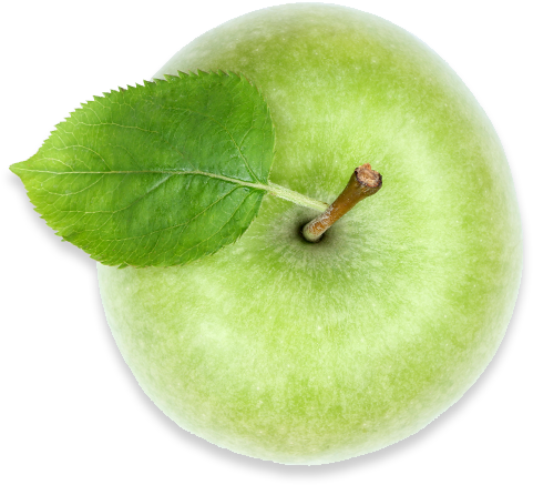 Green Apple, Americas Breakroom - Granny Smith Clipart (640x592), Png Download