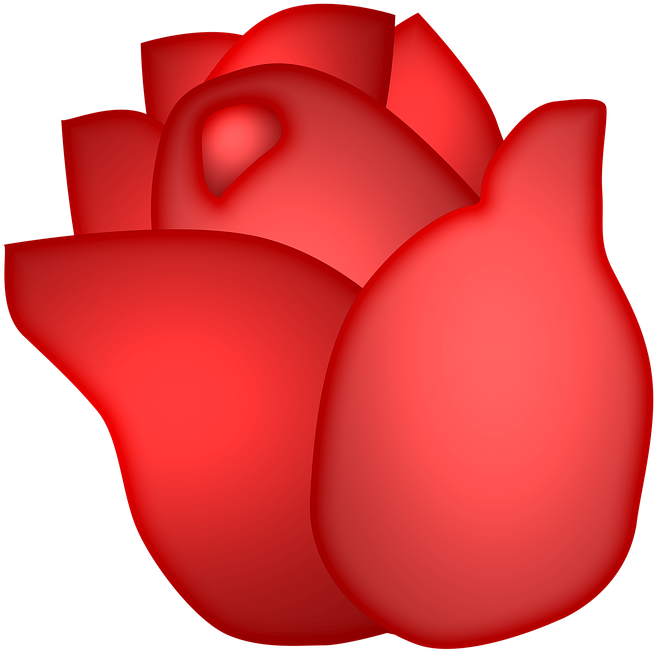 Petalo De Rosa Png - Petalos De Una Rosa Clipart (656x652), Png Download