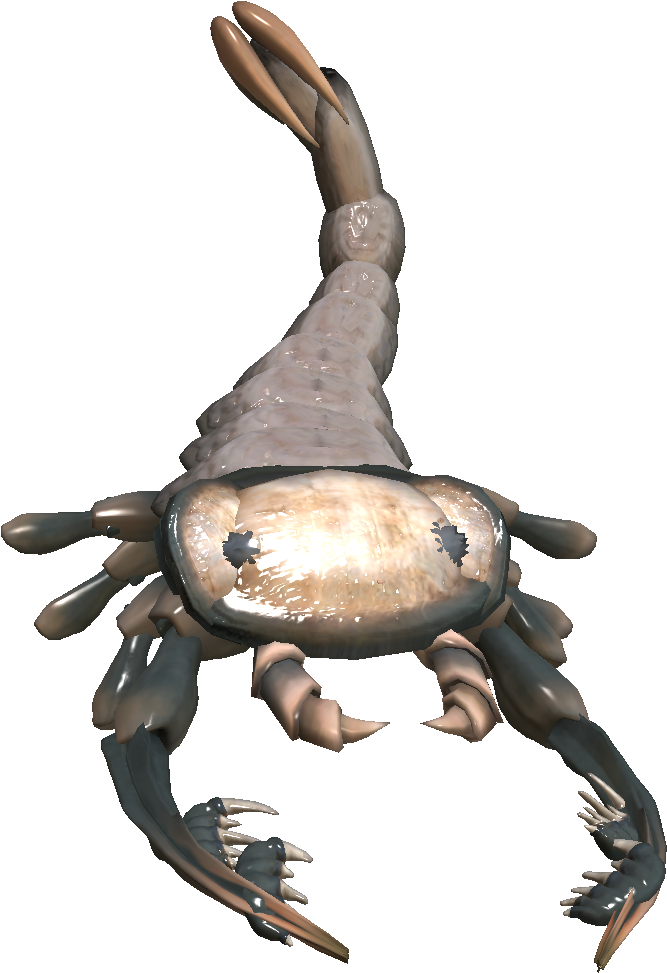 Http - //vignette2 - Wikia - Nocookie - - Cancer Clipart (785x1002), Png Download