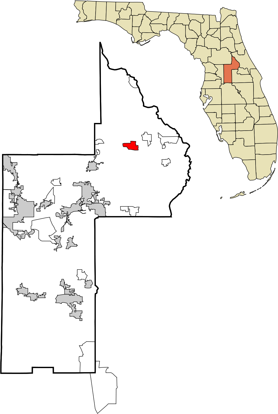 County Florida Clipart (1200x1680), Png Download