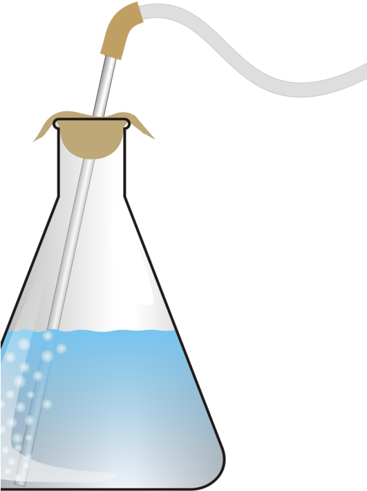 Erlenmeyer Flask Laboratory Flasks Test Tubes Chemistry - Test Tube Png Gif Clipart (531x711), Png Download