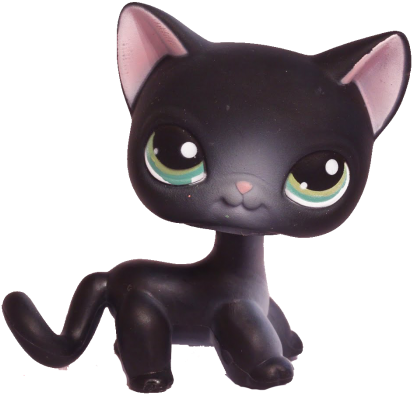lps shorthair 336