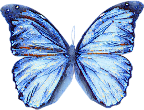Butterfly Blue Watercolour Blur Effect - Butterfly Wings Clipart (1024x1024), Png Download