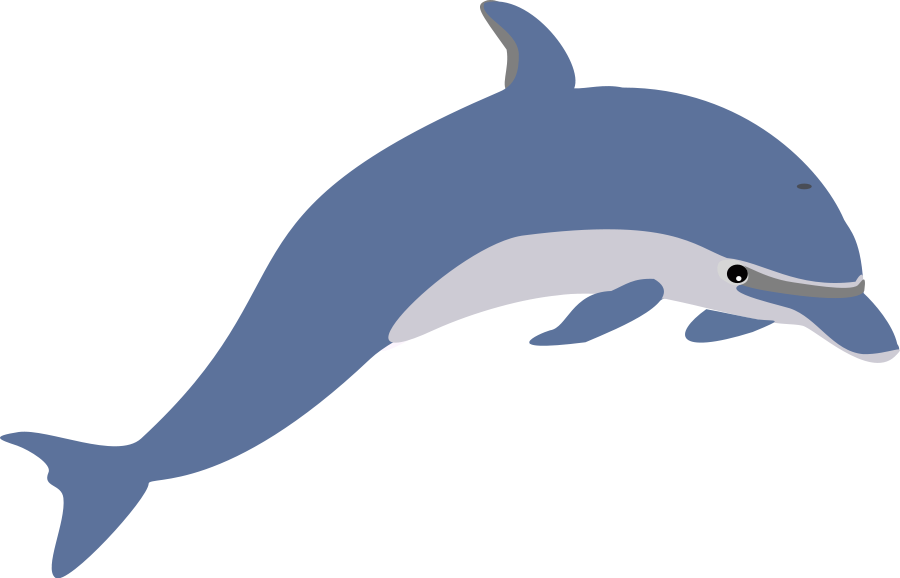 Jumping Dolphin Clip Art - Dolphin Clipart - Png Download (900x578), Png Download