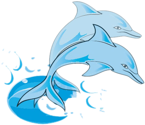 Bottlenose Dolphin Clip Art - Dodson Middle School - Png Download (660x660), Png Download