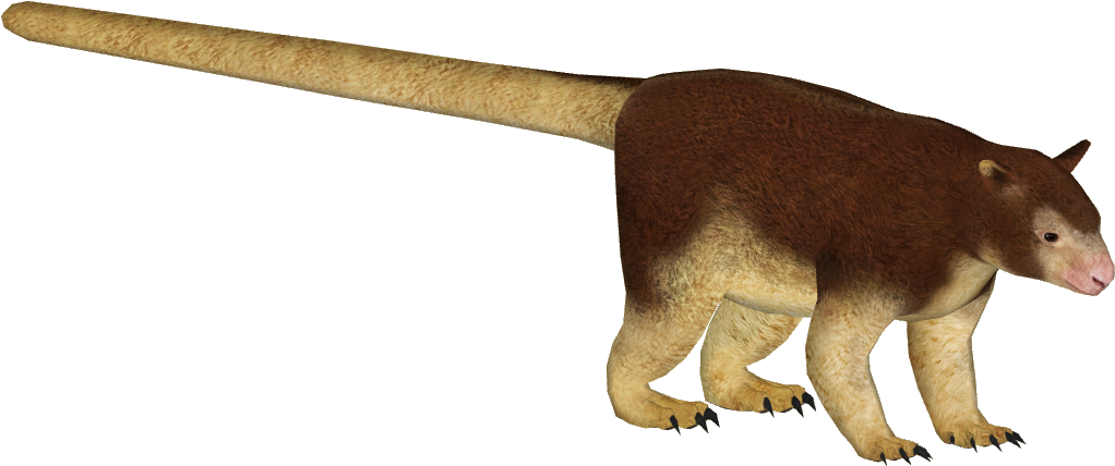 Png Tree Kangaroo - Puma Clipart (1021x1021), Png Download