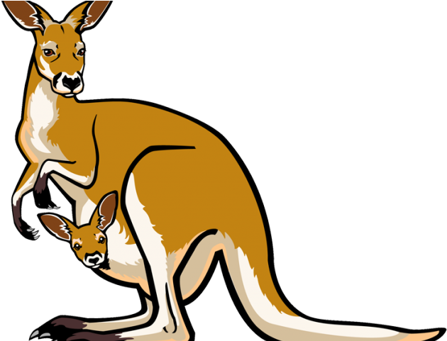 Clipart Free Download Clipart Free On Dumielauxepices - Clip Art Kangaroo Clipart - Png Download (640x480), Png Download