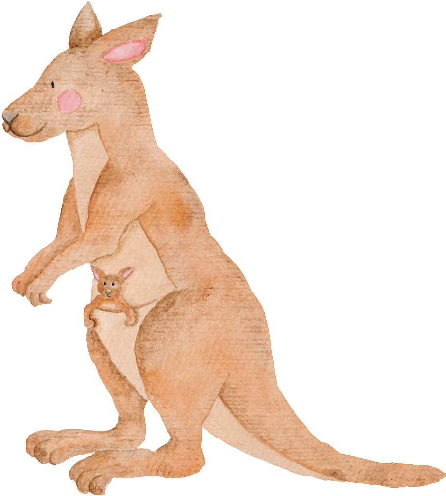 Hand Painted Kangaroo Transparent Animal Png Clipart (908x1009), Png Download