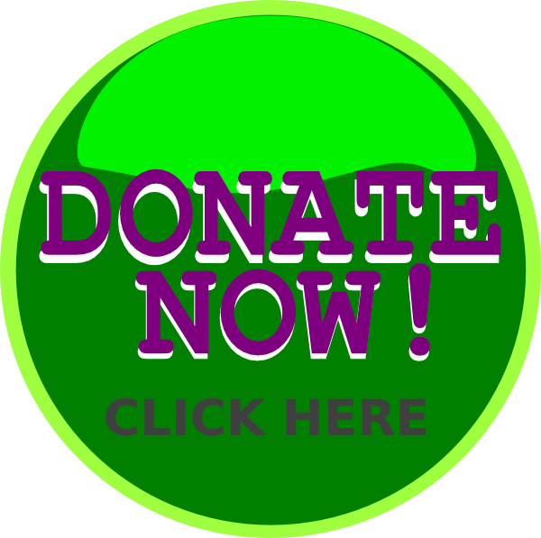 Donate Green Button Png Clipart (600x597), Png Download
