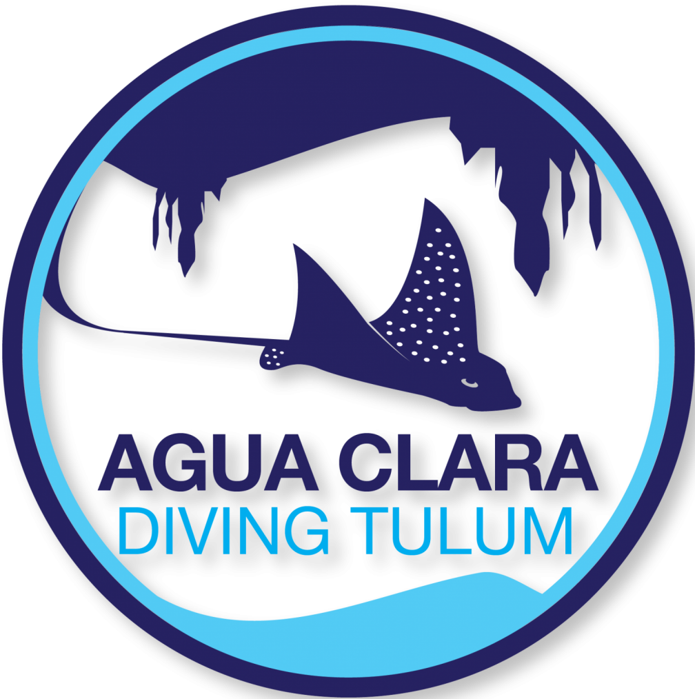 Cropped Logo Agua Clara Good - Emblem Clipart (1007x1024), Png Download