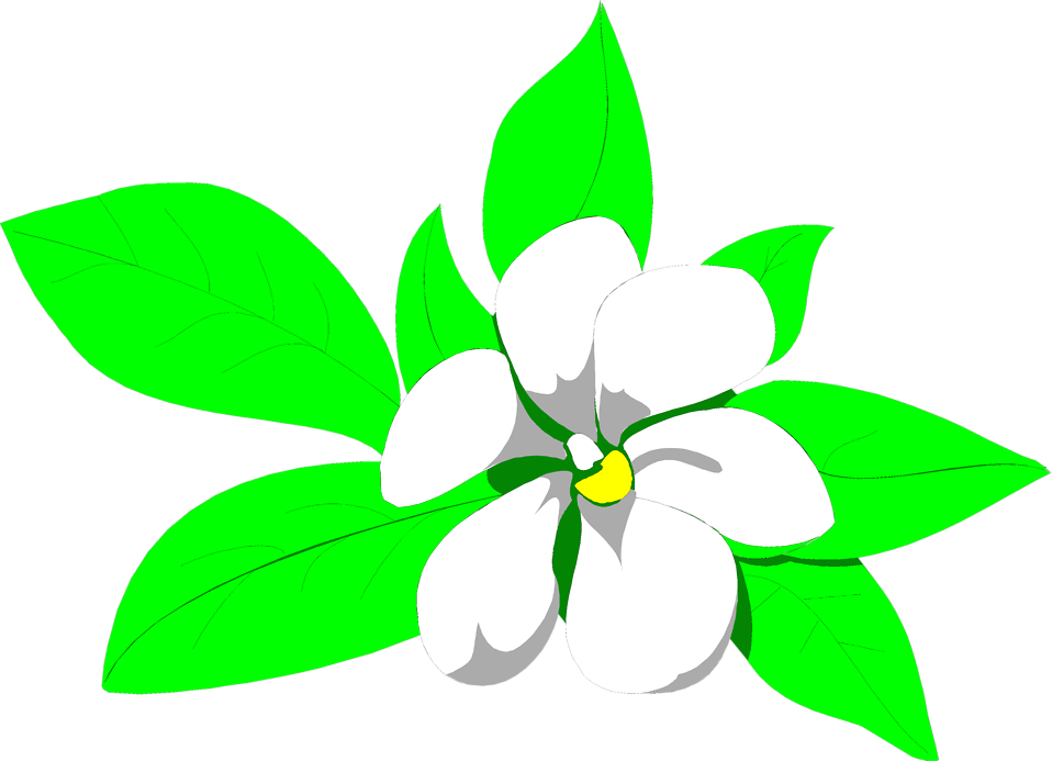 Thumb Image - Jasmine Flower Images Clipart - Png Download (958x693), Png Download