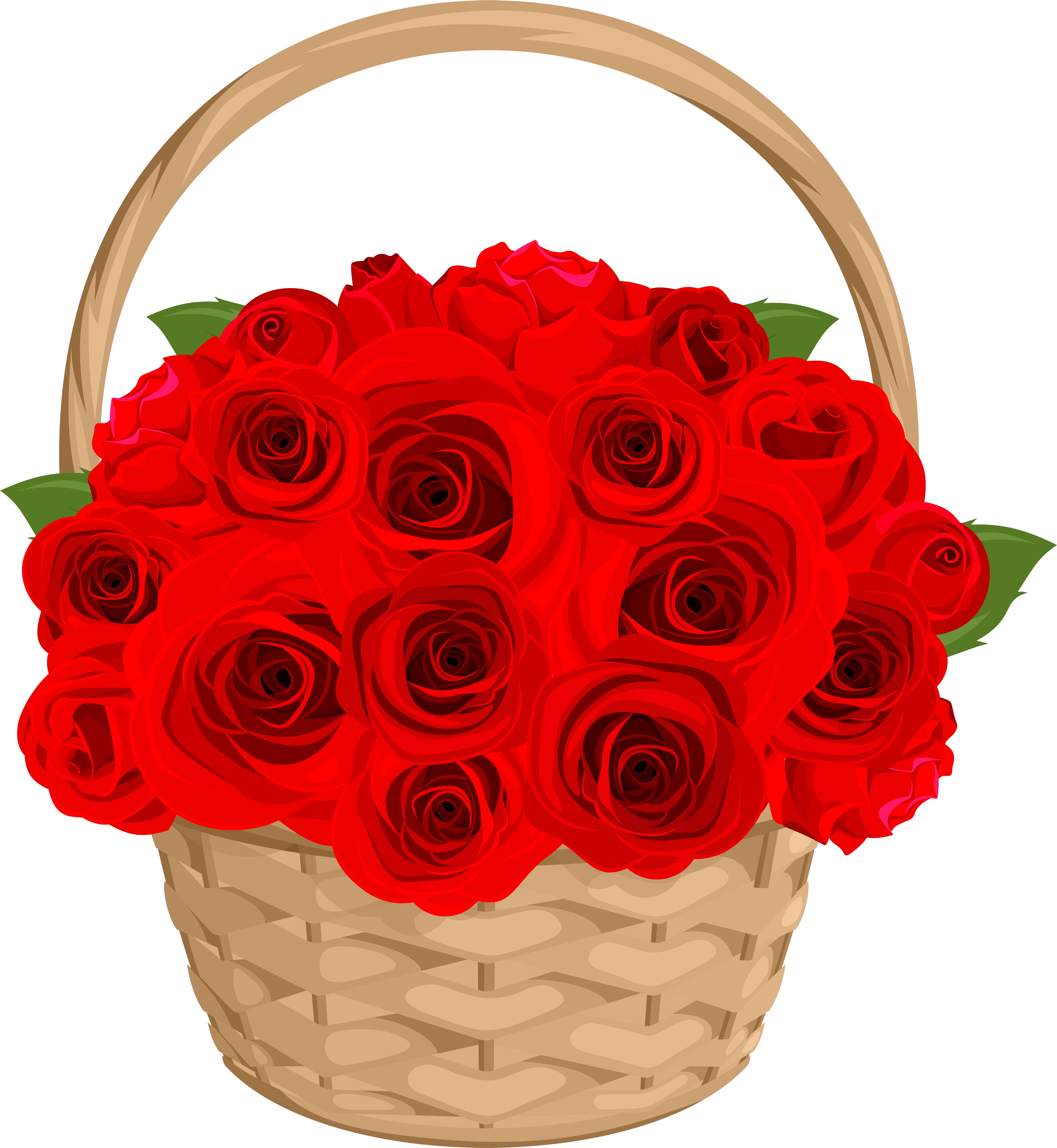 Rose Png - Transparent Background Flower Bucky Png Clipart (552x600), Png Download