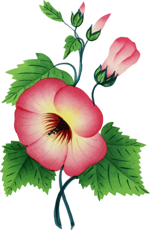 Flower Floral Design Download Art - One Stem Flower Png Clipart (488x750), Png Download