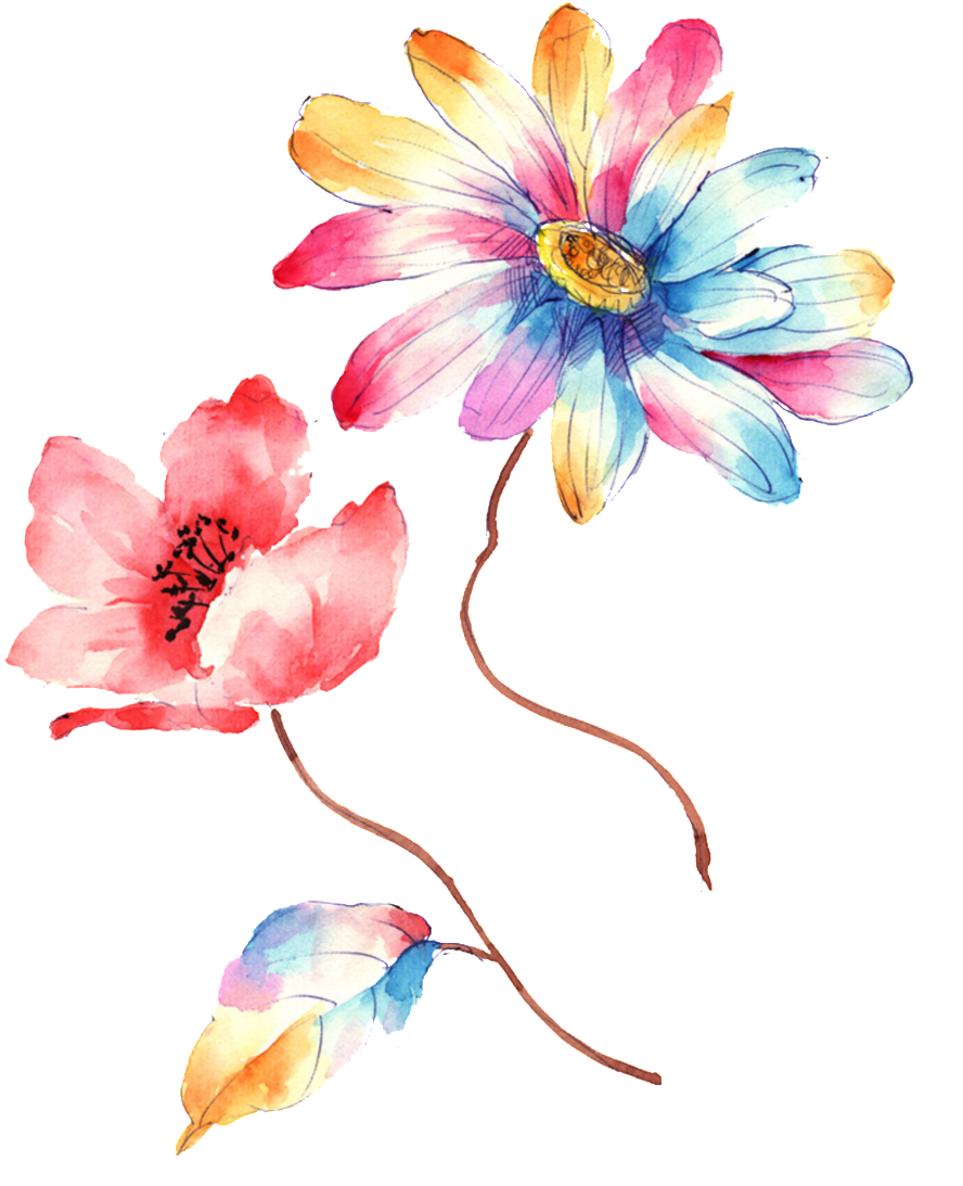 Colorful Gradient Hand Drawn Chrysanthemum Decorative - Artificial Flower Clipart (1024x1319), Png Download