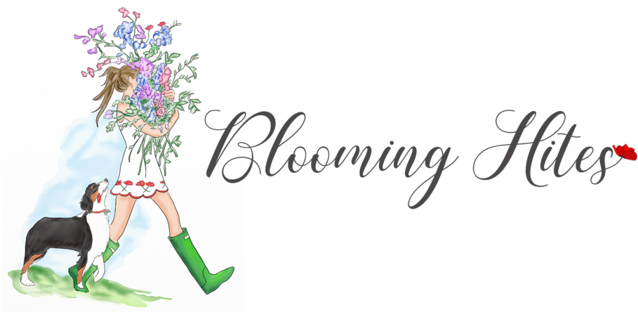 Colorful Floral Design Png Clipart (1000x444), Png Download