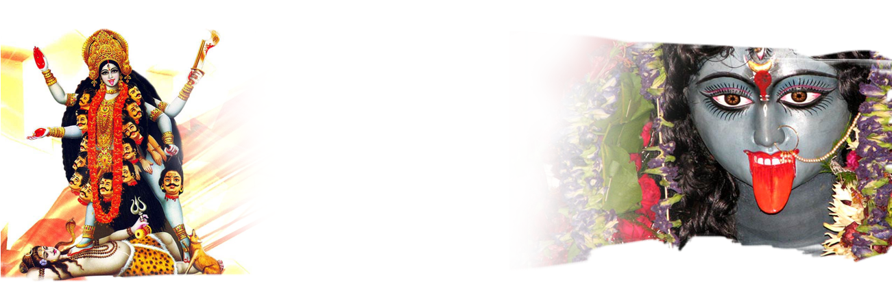 Img - Digitalis Clipart (1300x464), Png Download