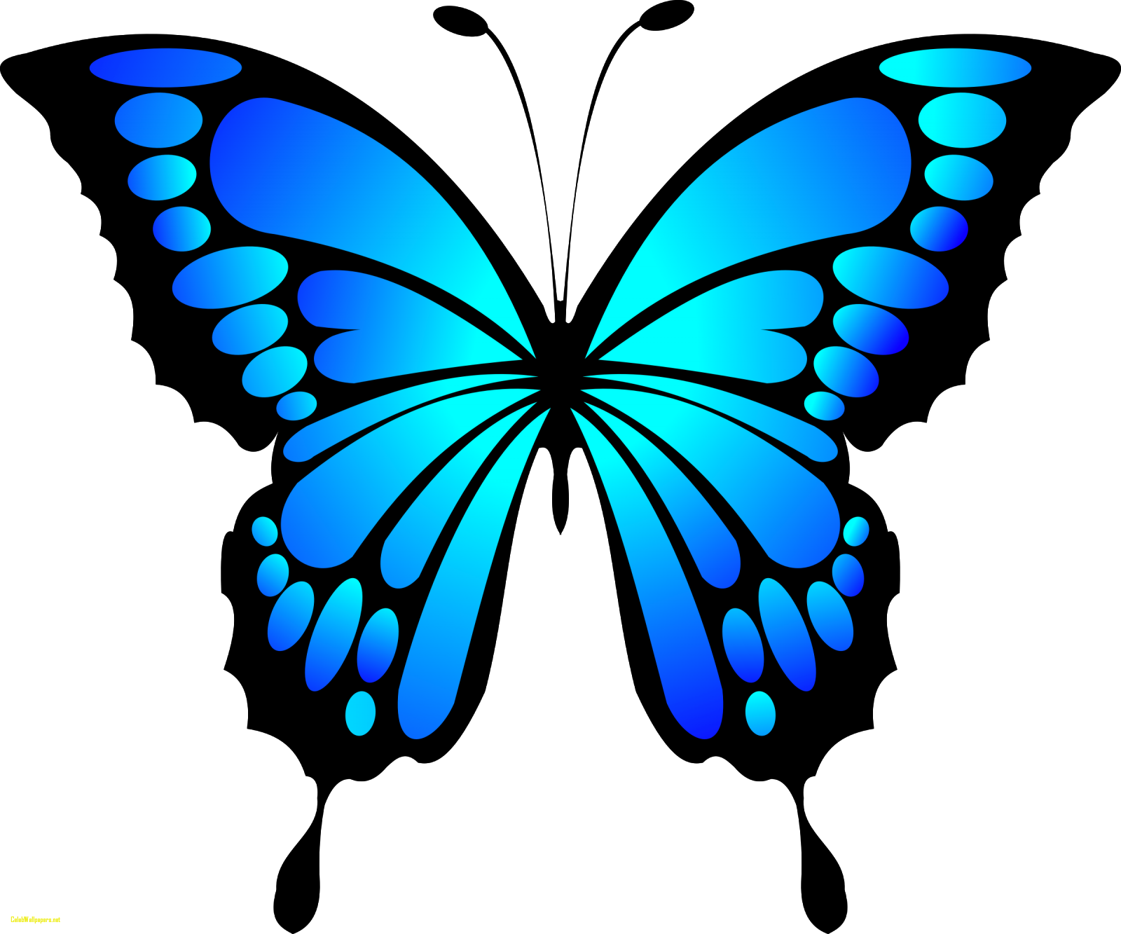 Monarch Butterfly Clipart Hindu God - Butterfly Clip Art Blue - Png Download (1600x1333), Png Download