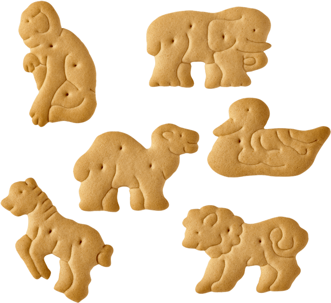 Cracker Clipart Animal Cracker - Animal Cracker Clip Art - Png Download (800x600), Png Download