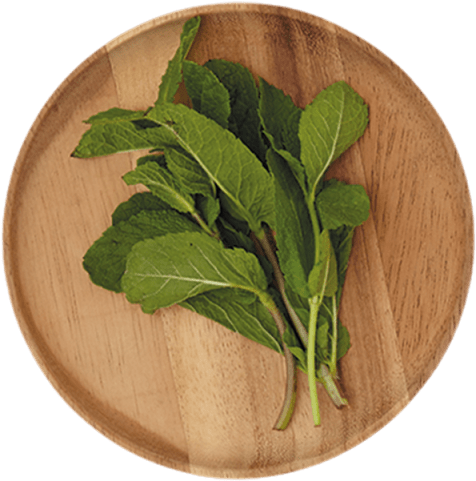 1 Bunch - Spinach Clipart (640x640), Png Download