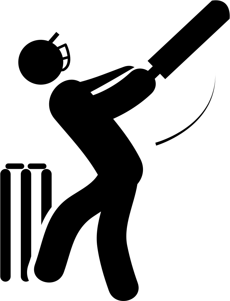 Cricket Icon Png Clipart Large Size Png Image Pikpng
